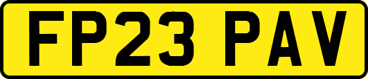 FP23PAV