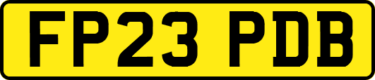 FP23PDB