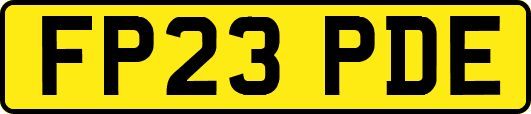 FP23PDE