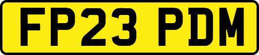 FP23PDM