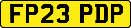 FP23PDP