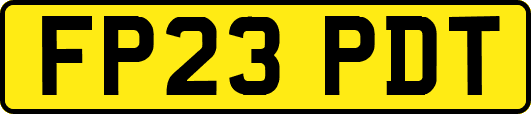 FP23PDT