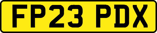 FP23PDX