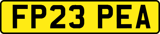 FP23PEA