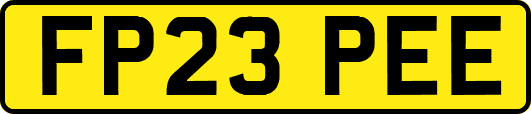 FP23PEE