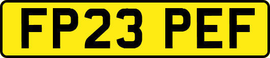 FP23PEF