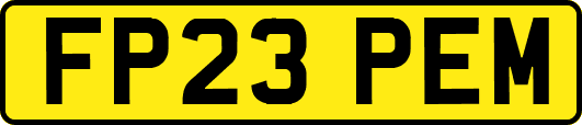 FP23PEM