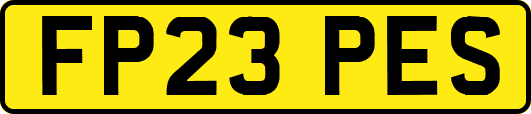 FP23PES
