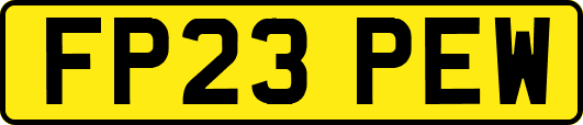 FP23PEW
