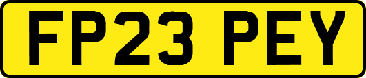 FP23PEY