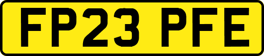 FP23PFE