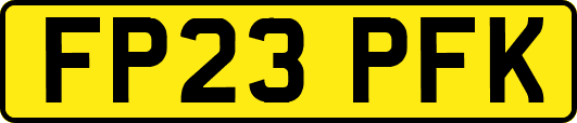 FP23PFK