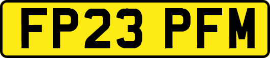 FP23PFM