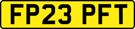 FP23PFT