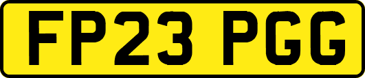 FP23PGG