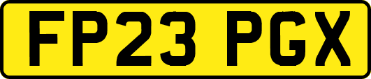 FP23PGX