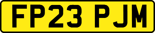FP23PJM