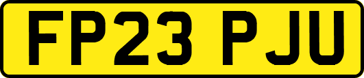 FP23PJU