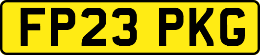 FP23PKG