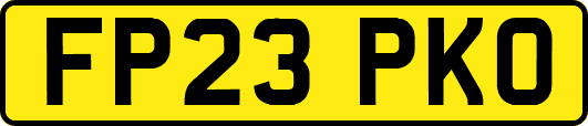 FP23PKO