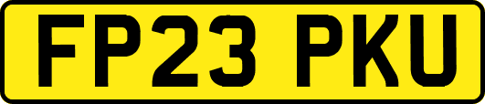 FP23PKU