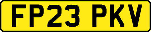 FP23PKV