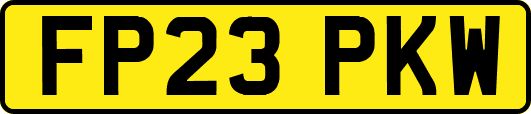 FP23PKW