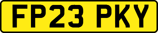 FP23PKY