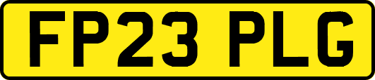 FP23PLG