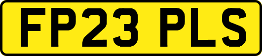FP23PLS