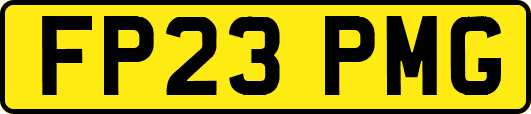 FP23PMG