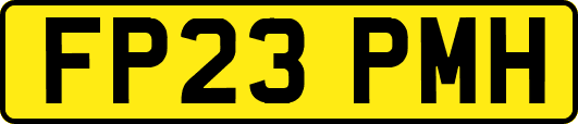 FP23PMH