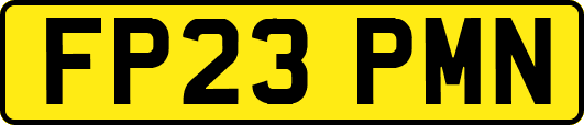 FP23PMN
