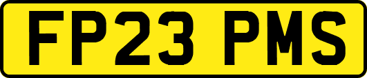 FP23PMS