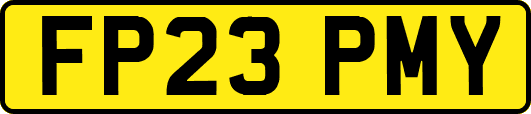 FP23PMY