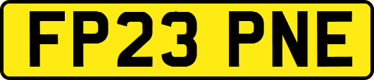 FP23PNE
