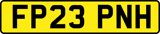 FP23PNH