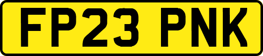 FP23PNK