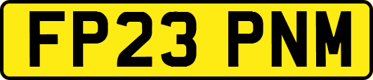FP23PNM
