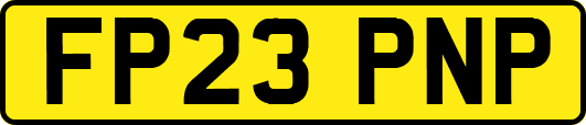 FP23PNP