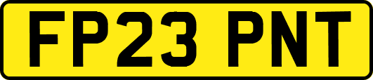 FP23PNT