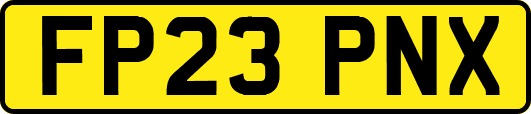 FP23PNX