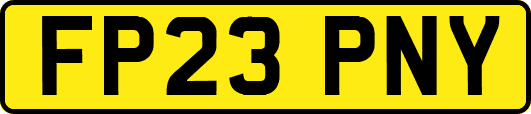 FP23PNY