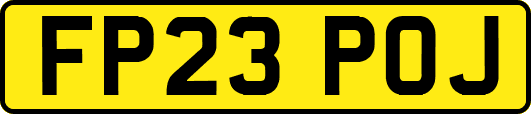 FP23POJ