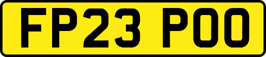 FP23POO