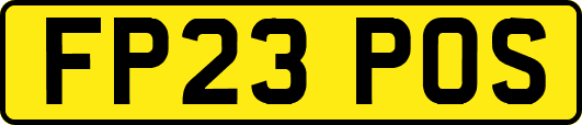 FP23POS