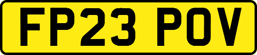 FP23POV
