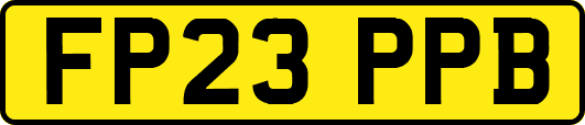 FP23PPB