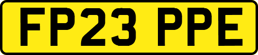 FP23PPE