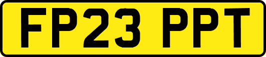 FP23PPT